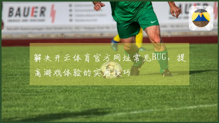 解决开云体育官方网址常见BUG，提高游戏体验的实用技巧