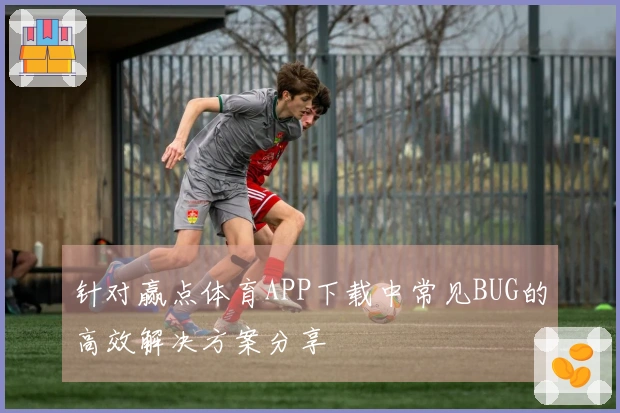 针对赢点体育APP下载中常见BUG的高效解决方案分享