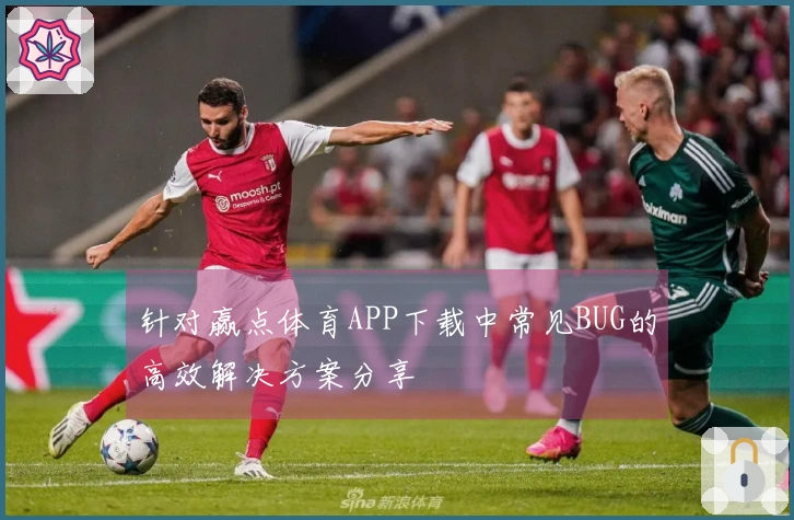 针对赢点体育APP下载中常见BUG的高效解决方案分享